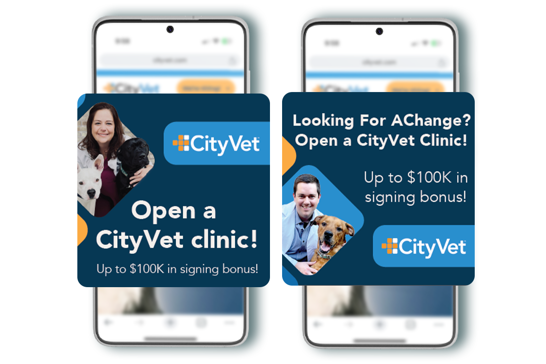 City Vet